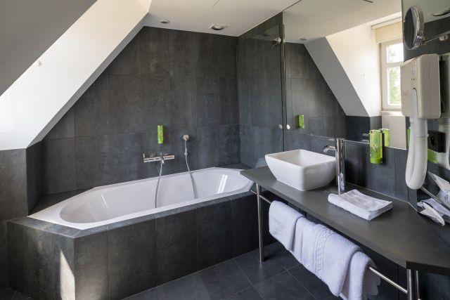 Salle de bain chambre n° 9 Hôtel &amp; Auberge de l'Illwald à Sélestat, Alsace