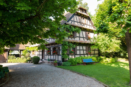 Illwald
